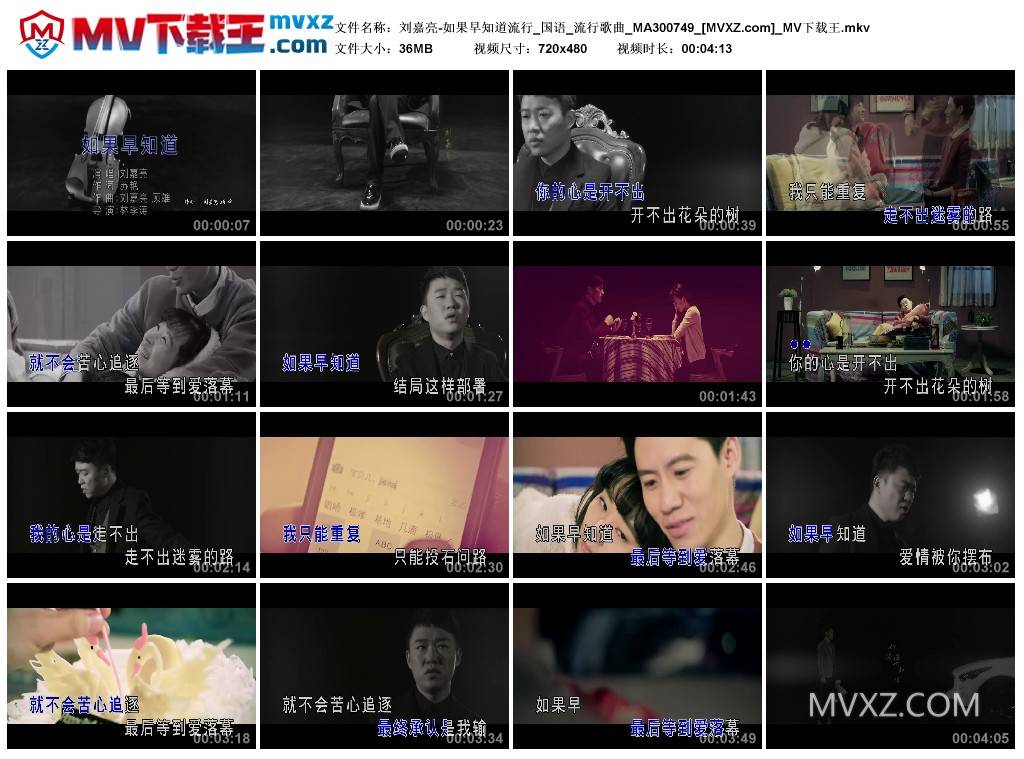 刘嘉亮-如果早知道流行_国语_流行歌曲_MA300749